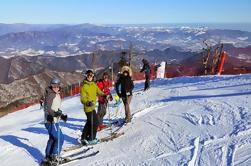 Snow ou Ski Day Trip para Yongpyong ou Phoenix Park Resort de Seul