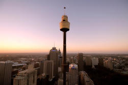 Sydney Shore Excursion: Sydney Tower Restaurante Buffet