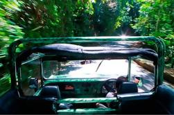 Jeep Tour d'une demi-journée dans la forêt de Tijuca
