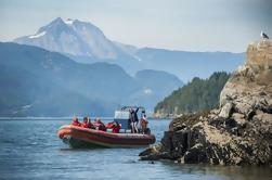 Croisière Sea Safari de Howe Sound