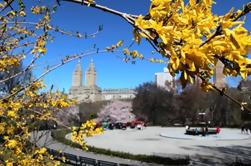 Visite de Central Park Pedicab