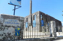 Panoramic tour in Barcelos and Workshop of Mushroom Farming