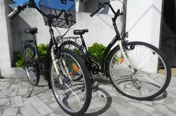 Barcelos Bike Rental