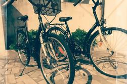 Aluguel de bicicleta - aluguel de 8 horas - Barcelos