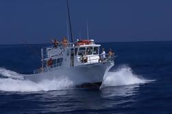 Grande gruppo Private Charter mezza giornata Kona da pesca sportiva