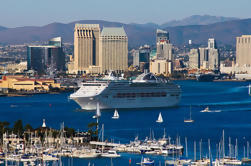 San Diego Shore Excursion: Cidade e Costa de La Jolla Tour