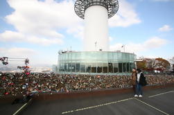 Mezza giornata Torre di Seoul e Dongdaemun Shopping Tour