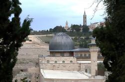 Christian Tour naar Jeruzalem van Tel Aviv