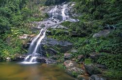 Tour Privado Tijuca Bosque y Cristo Redentor