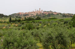 Excursão de um dia de Florença a Siena e San Gimignano com degustação de vinhos e almoço incluído