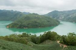 5-Hour Thousand Island Lake and Pinglin Tea Plantation Scenery Tour