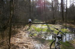 Tour en bicicleta en el Parque Nacional de Varsovia