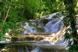 Excursión de un día a Dunn's River Falls desde Montego Bay