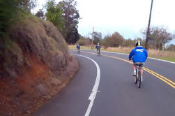 Maui Downhill Bike Ride