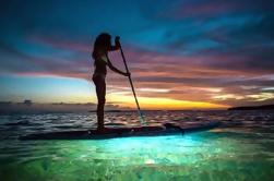 LED Paddleboard Sunset Glow Tour