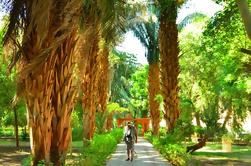 Privato Feluca Tour: Assuan Botanic Gardens