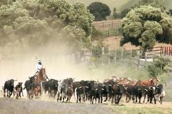 Excursión de un día a Andalucía desde Cádiz