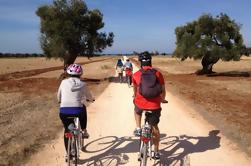 Puglia Bike Tour: Cyclisme à travers l'histoire de l'huile d'olive extra vierge