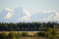 Majestic Denali National Park Wilderness et Aurora tour