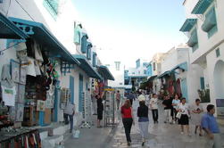 Carthage et Sidi Bou Said Visite guidée d'une demi-journée de Tunis