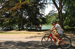 Excursión en bicicleta por el grupo pequeño de Central Park