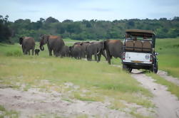 8-tägige Botswana und Namibia Tour von Maun