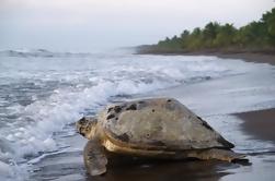 Parque Nacional Tortuguero