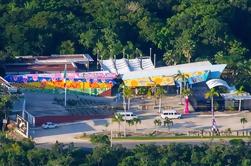 Descubra el Parque de México: Admisión pasada y presente T