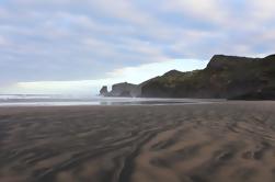 Private Tour of Bethells Beach and Lake from Auckland