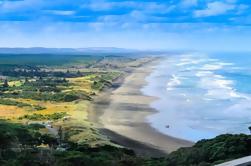 Private Tour di Muriwai Beach e Gannet Colony da Auckland