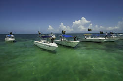 Snorkel Aventura con Almuerzo Buffet en Cancún