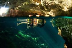 Playa del Carmen Jungle Tour: Tulum, Cenote