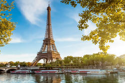 Per famiglie a Torre Eiffel Private Tour