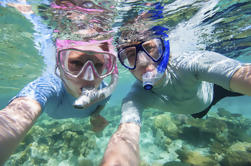 Crucero Snorkel en la bahía de Kealakekua