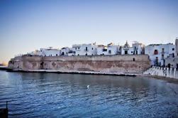 Excursión de un día a Monopoli desde Bari con visita a Parco Dune Costiere Beach, Aperitivo y Cena