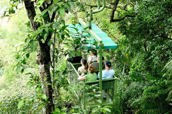 Recorrido Aéreo en Gamboa