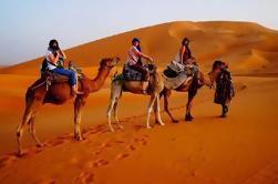 Atlas Mountains e Cedar Foresta: Merzouga guidate Day Tour da Fes