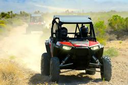 2 ou 3 horas Desert Adventure por RZR