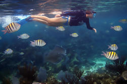 Tour di snorkeling a Playa del Carmen