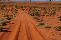 19-Day Canning Stock Ruta 4WD Expedición de Alice Springs