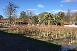 Tour de Viñedo de Santa Rita de Grupo Pequeño de Medio Día