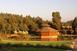 Small-Group Tour at Matetic Vineyard in Rosario