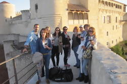 Wine Experience met kastelen, middeleeuwse stadjes of kathedralen Tour van Madrid