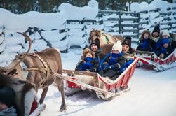 Lappland Entlang des Rentierpfades: 1-stündige Rentiersafari aus Rovaniemi