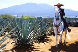 Guadalajara, Tequila y Tlaquepaque Tour por la noche desde Puerto Vallarta