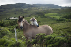 2-tägige Connemara und Galway Bay Tour von Dublin mit dem Zug