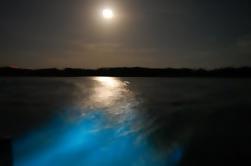 Luminous Lagoon Night Cruise in Jamaica