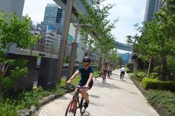 Small Group Tokyo Biking Tour