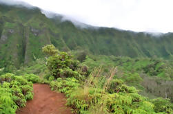 Oahu Shore Excursion: Rainforest Senderismo de Aventura