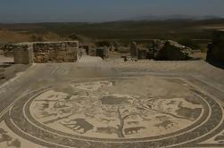 Excursión de un día a Meknès y Ruinas Romanas de Volubilis desde Fez